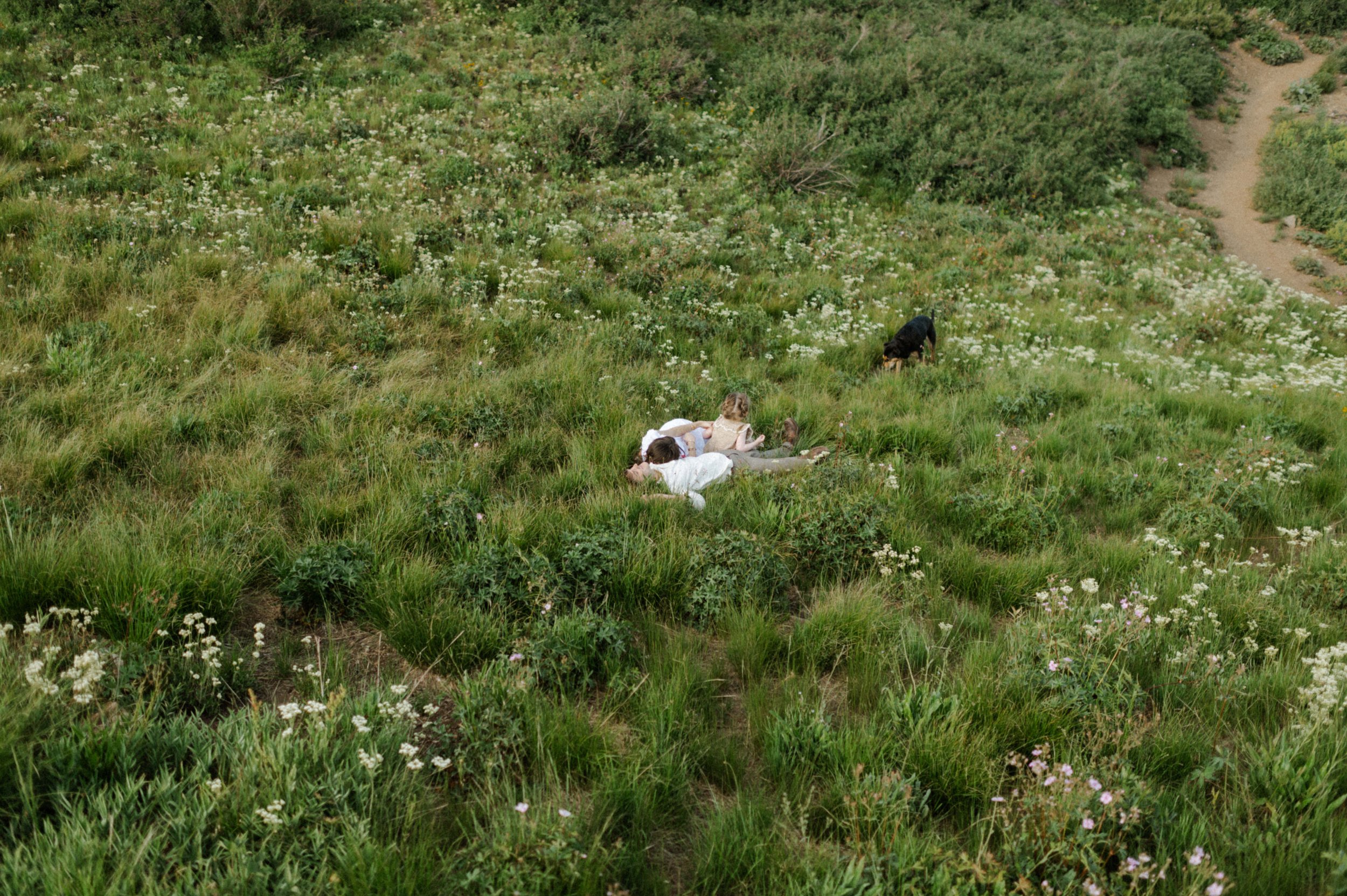 family of three lying in green grassy field in mountains