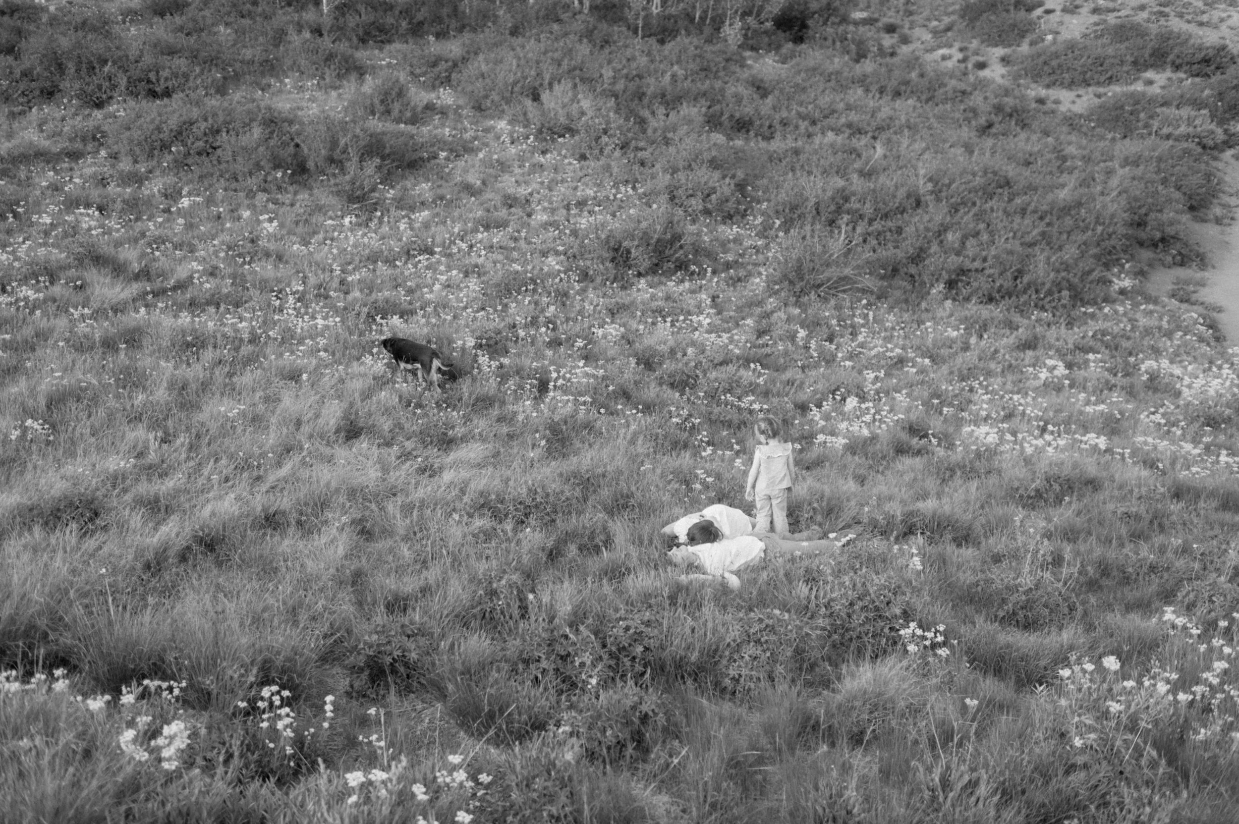 black and white photo of family of three lying in green grassy field in mountains