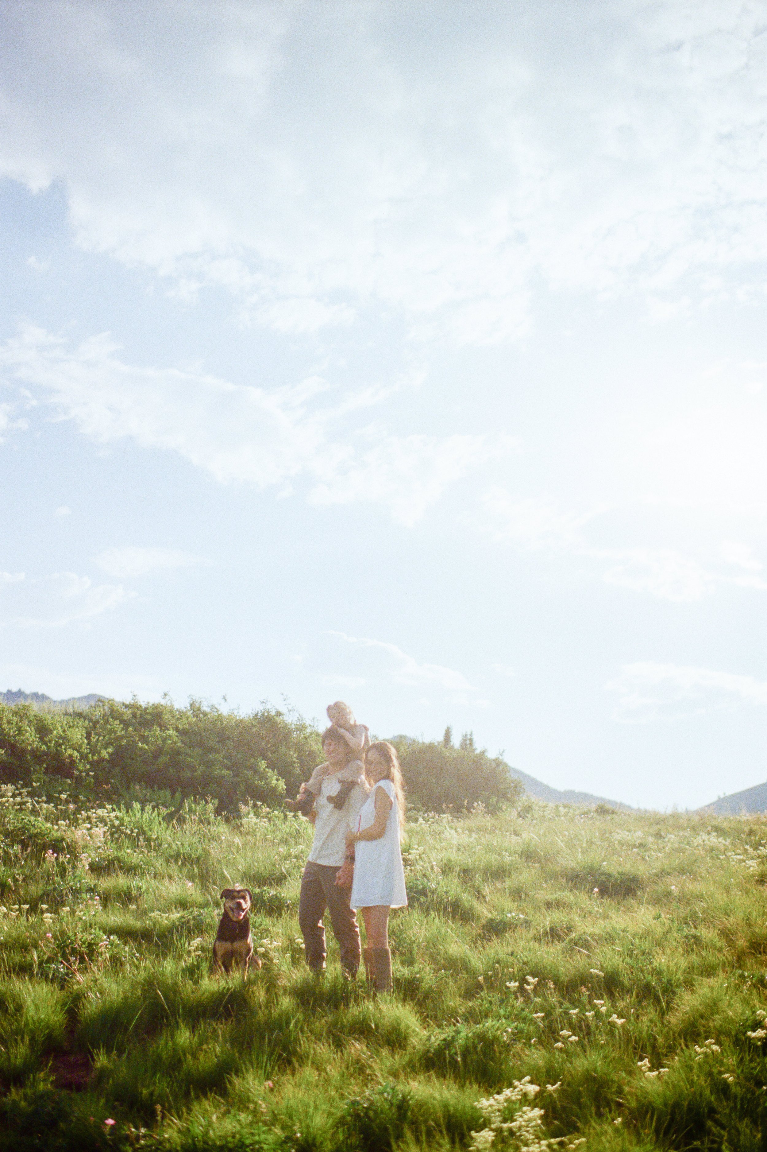 family film photo playing in the Utah mountains with dog