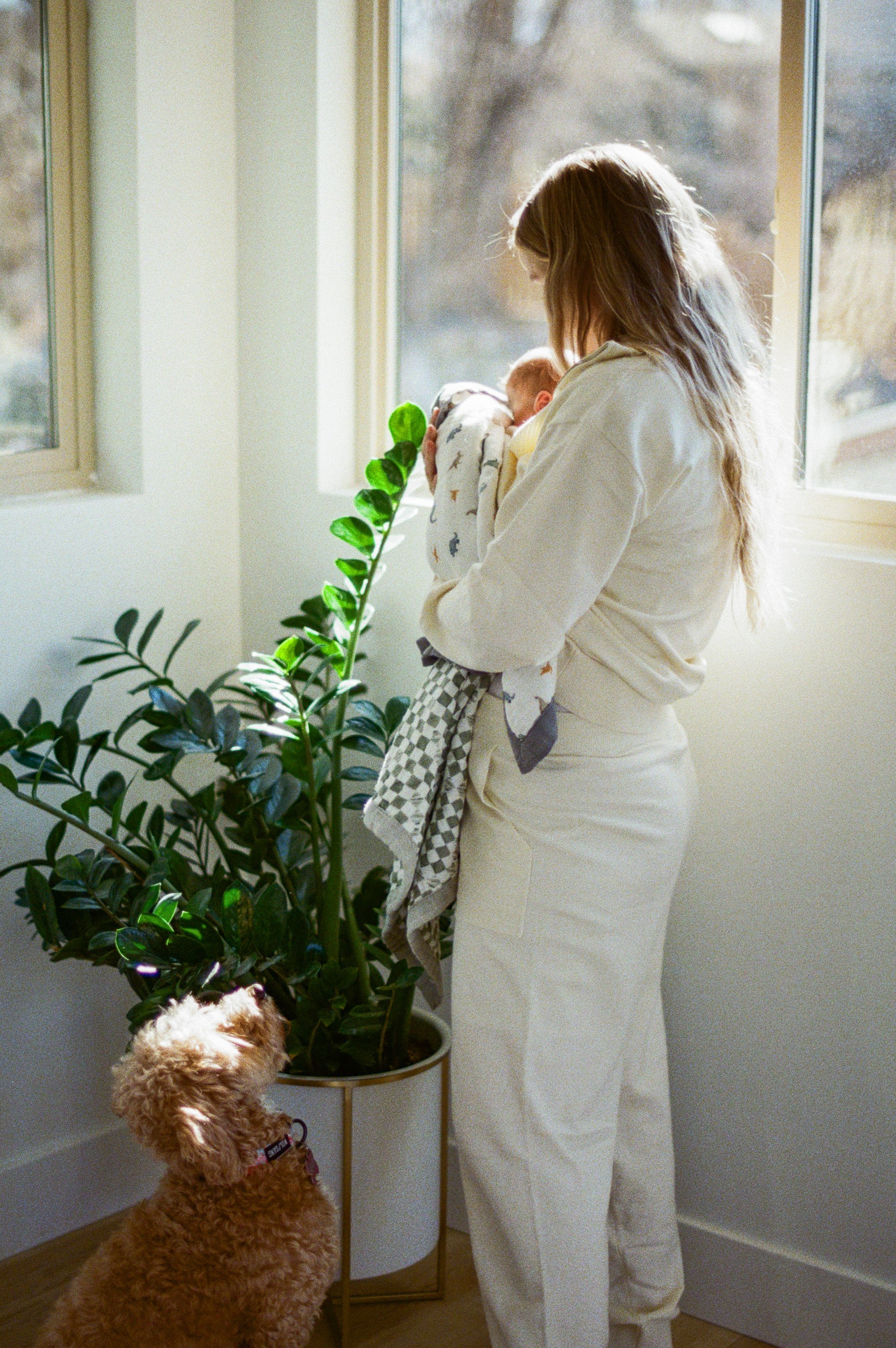 Film photography of product brand session showing natural grain