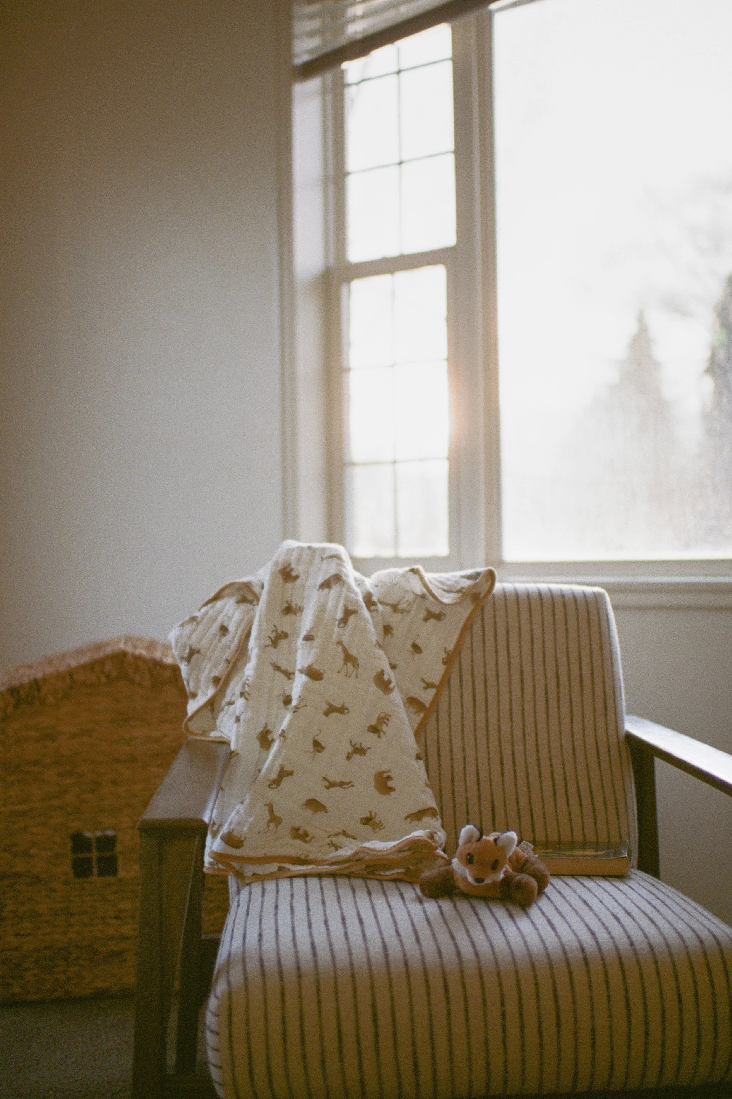 film-21.jpg