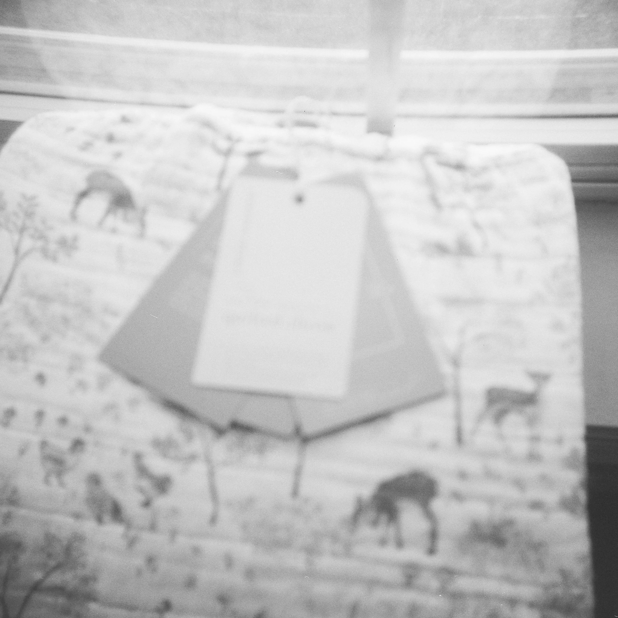little-unicorn-baby-blanket-branding-film-photography-73.jpg