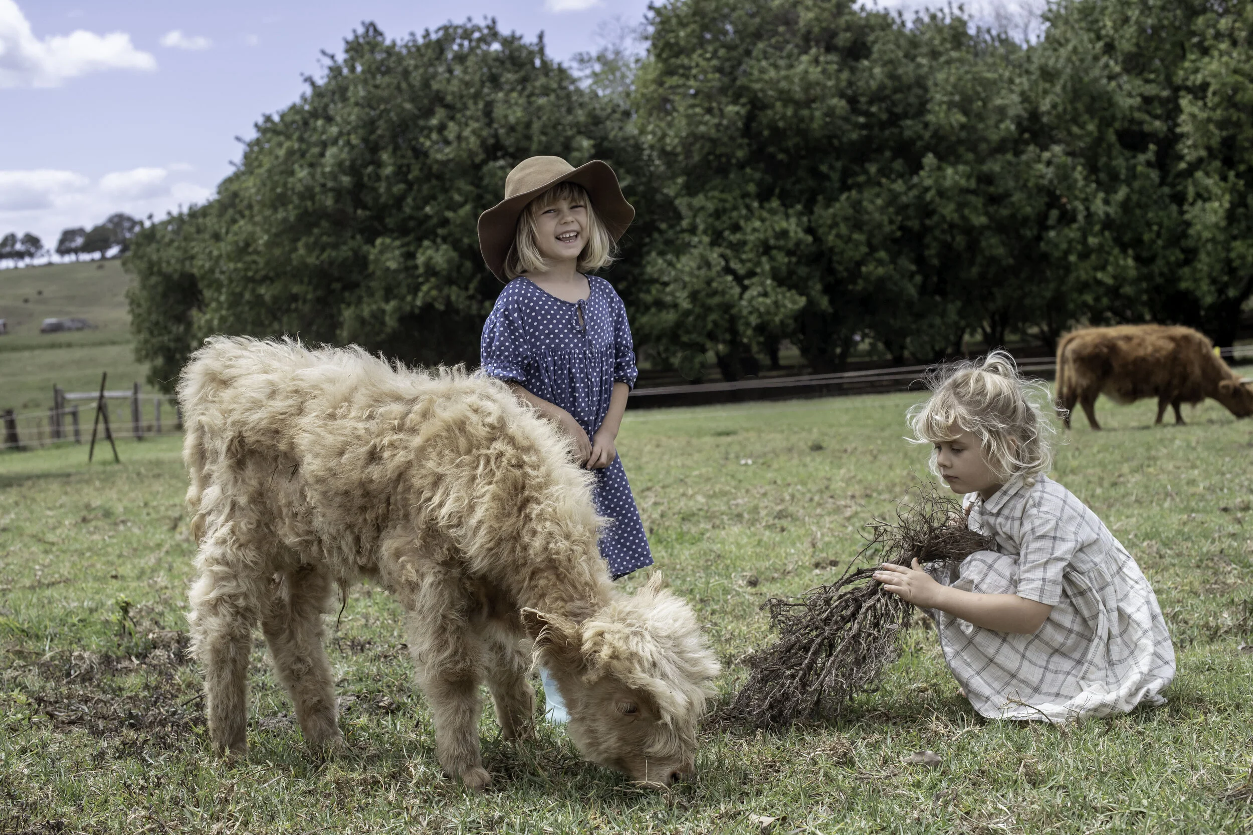 Children playing with a highland cow