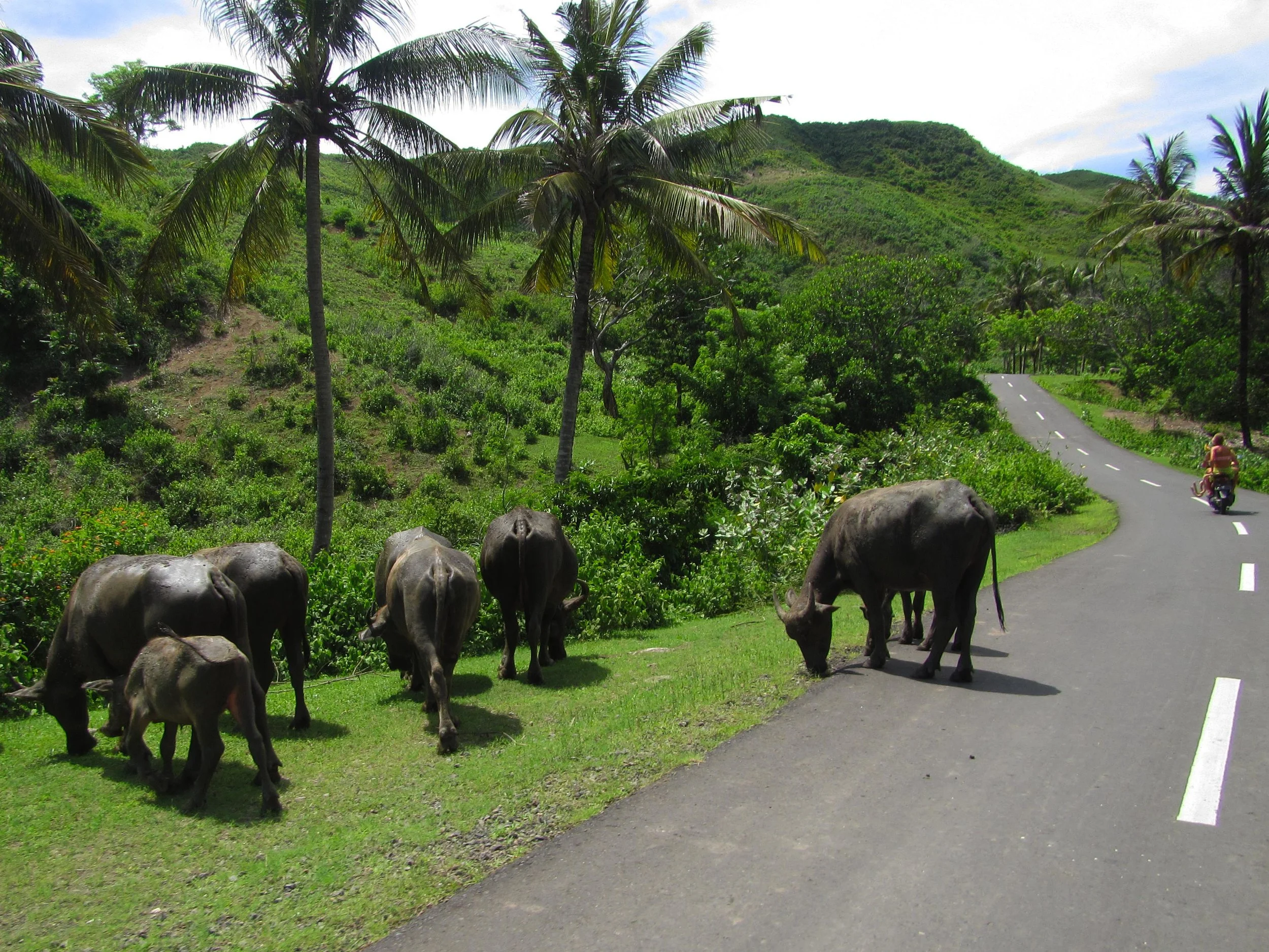 Local-traffic.jpg