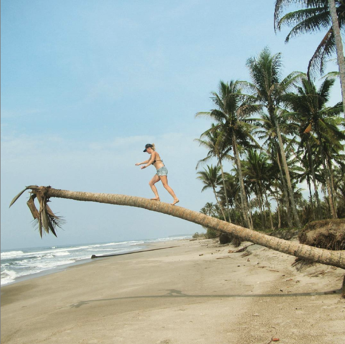 Palm-walking.jpg