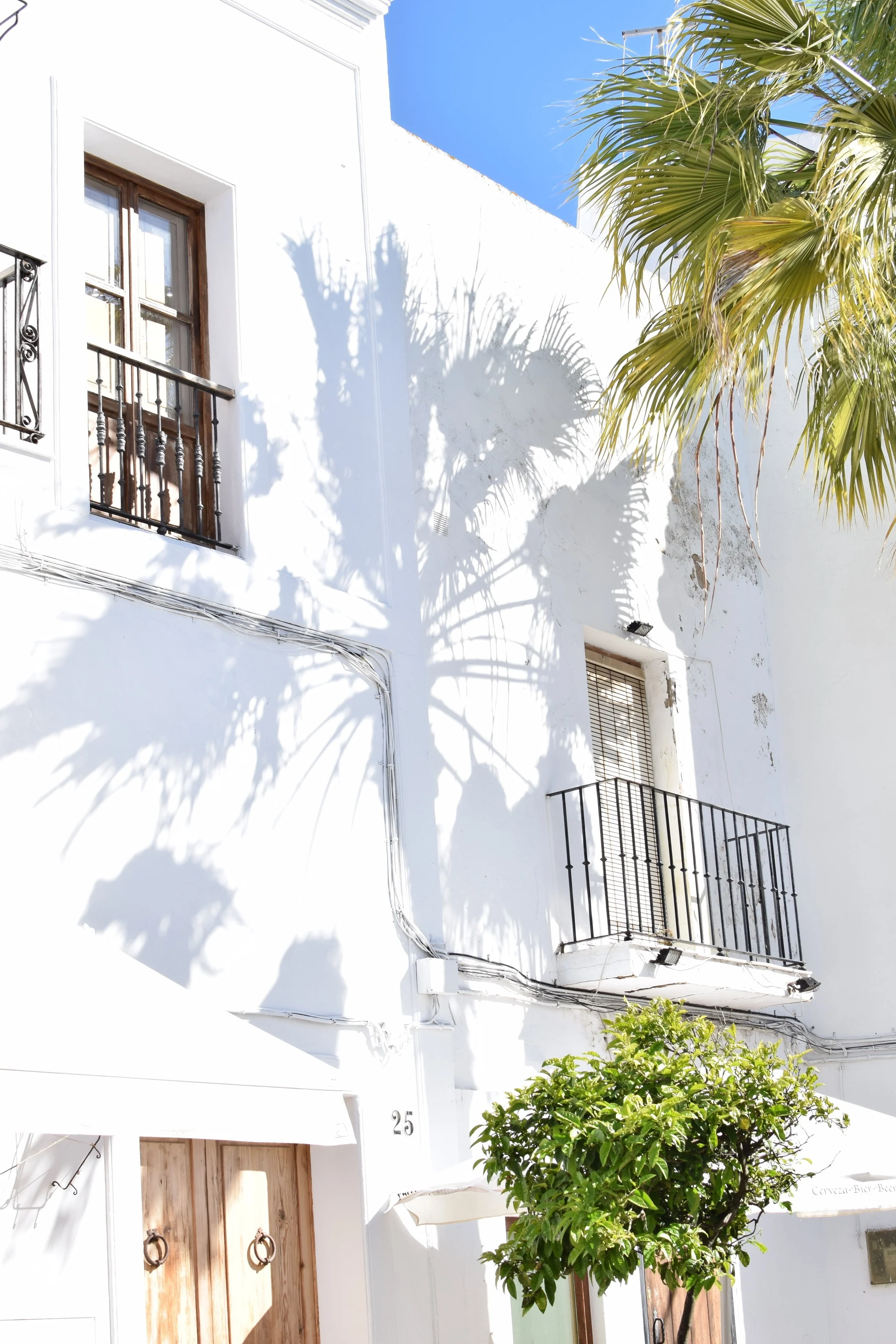 Palm-shadows-spain.jpg
