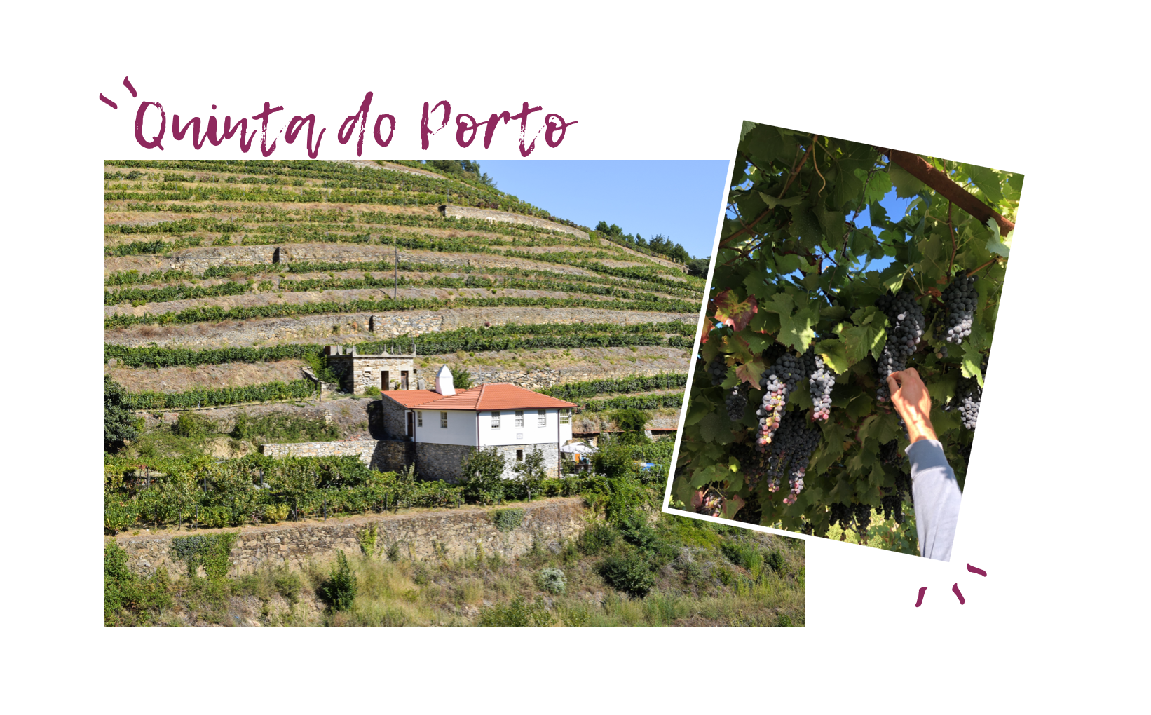 Quinta-do-porto.jpg