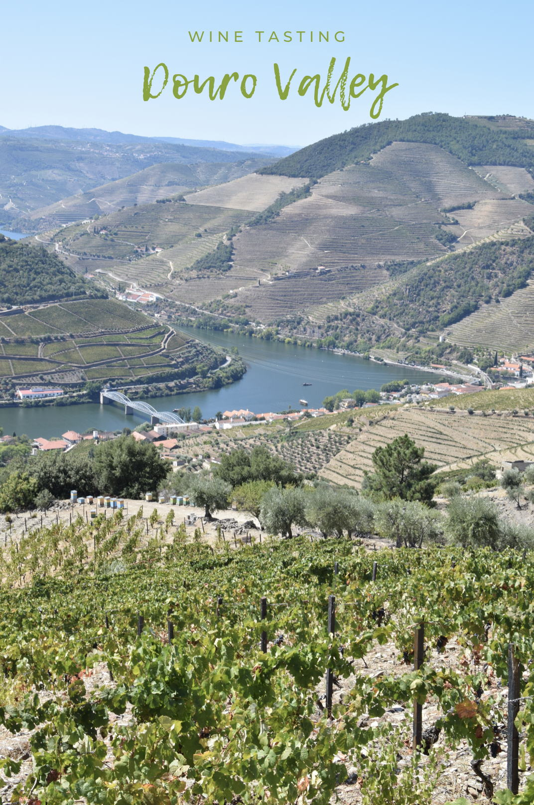 winetasting-douro-pin.jpg