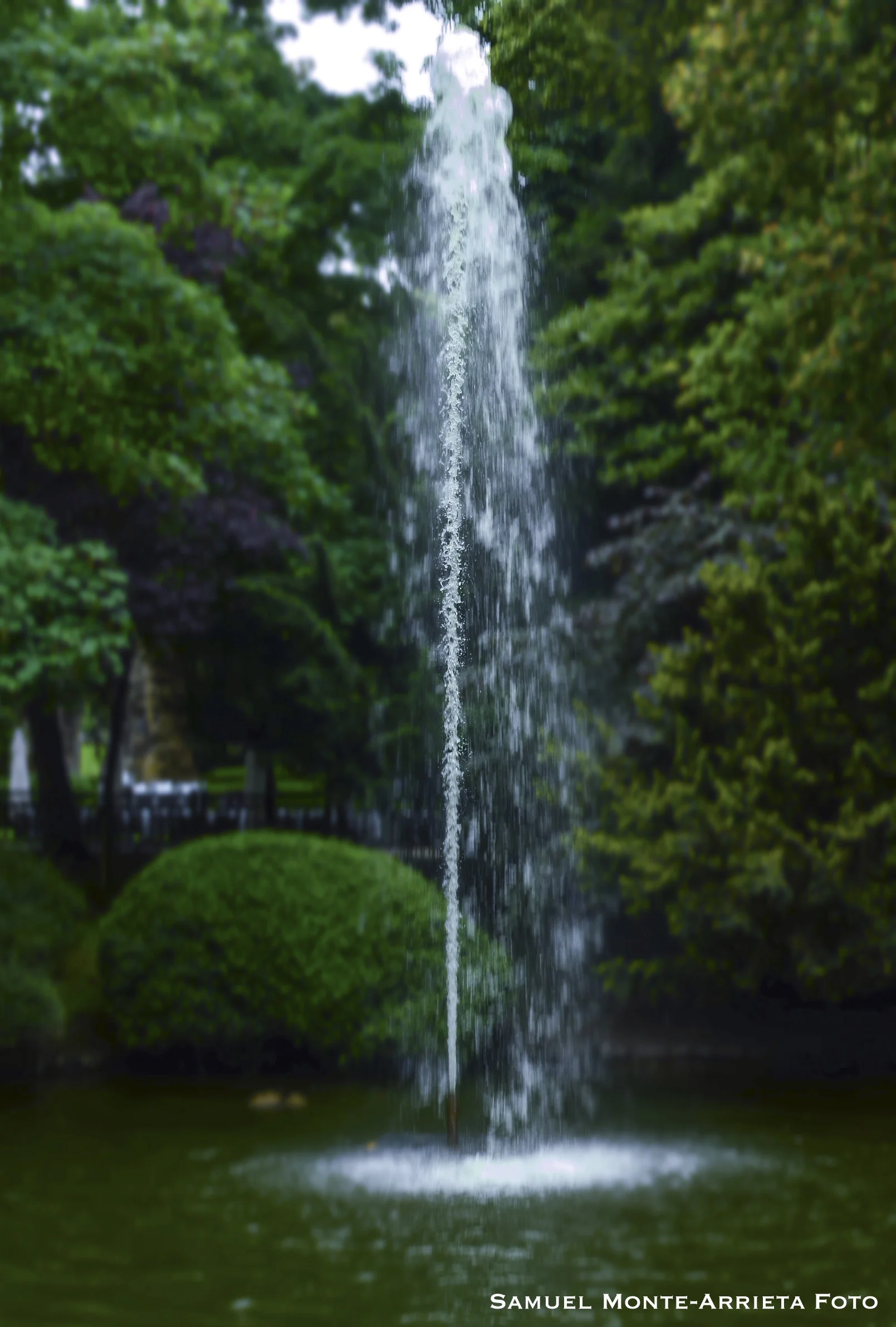 CSC_0133 copiaredimensionada.jpg