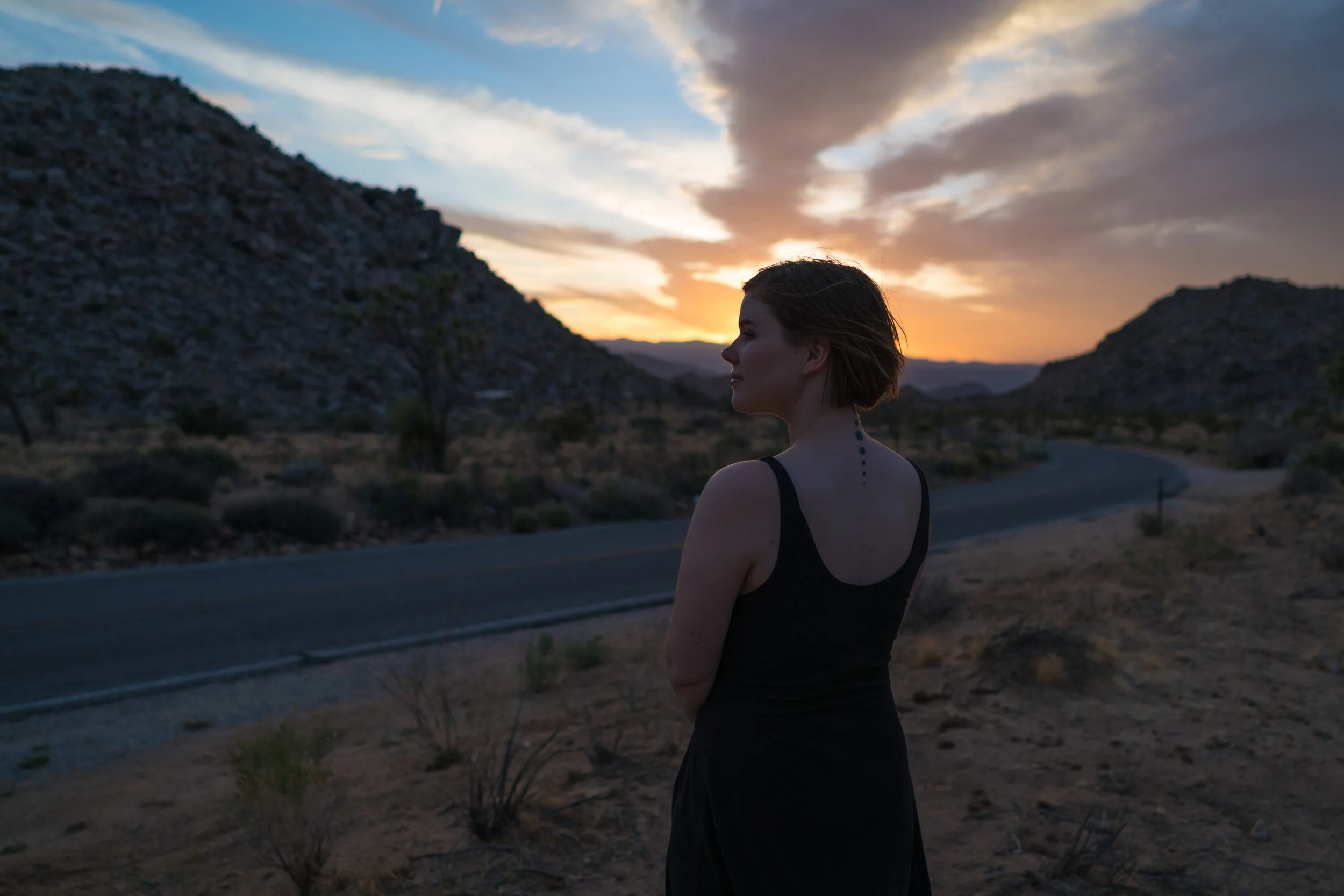 Tilley_JTree_Sunset-3.jpg