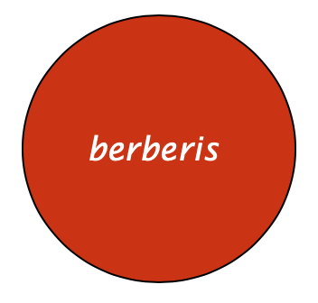 Berberis Books