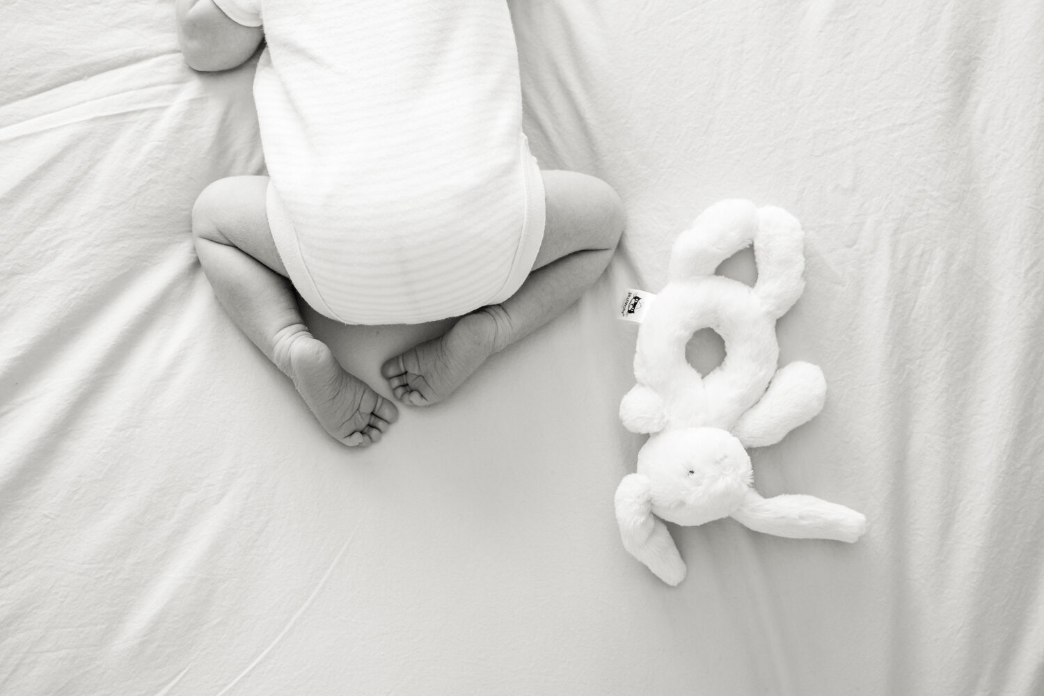 asa-bell-photography-newborn-7.jpg