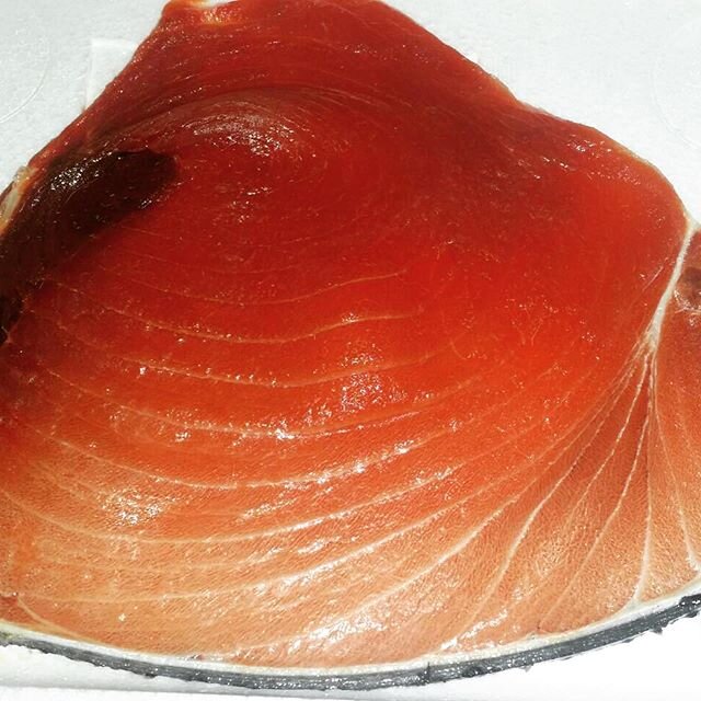 bluefin from Ireland

#三崎恵水産
#三崎まぐろ 
#三崎港
#misakimegumi
#magurodonya
#kuromaguro
#fishstand
#megumifishstand
#maguroconfit
#bluefin
#アイルランド
#sushi
#toro