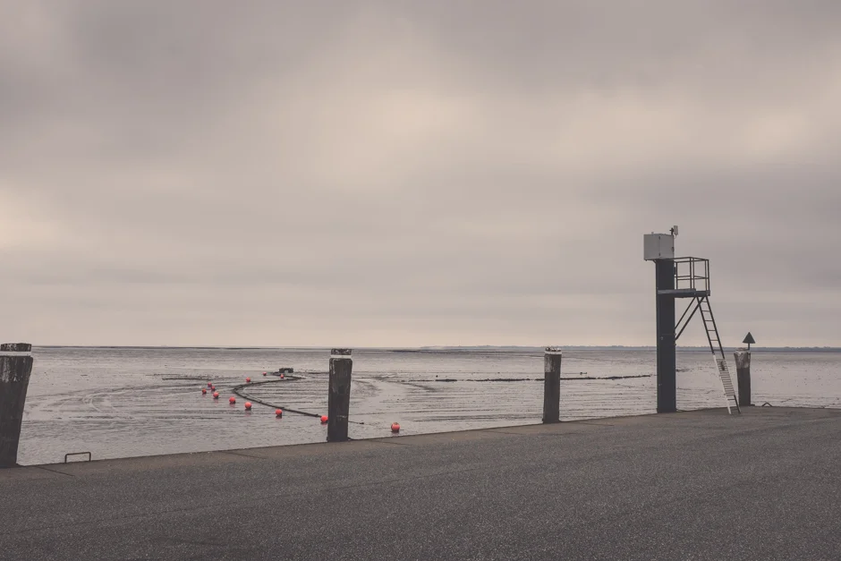 sylt-4655.jpg