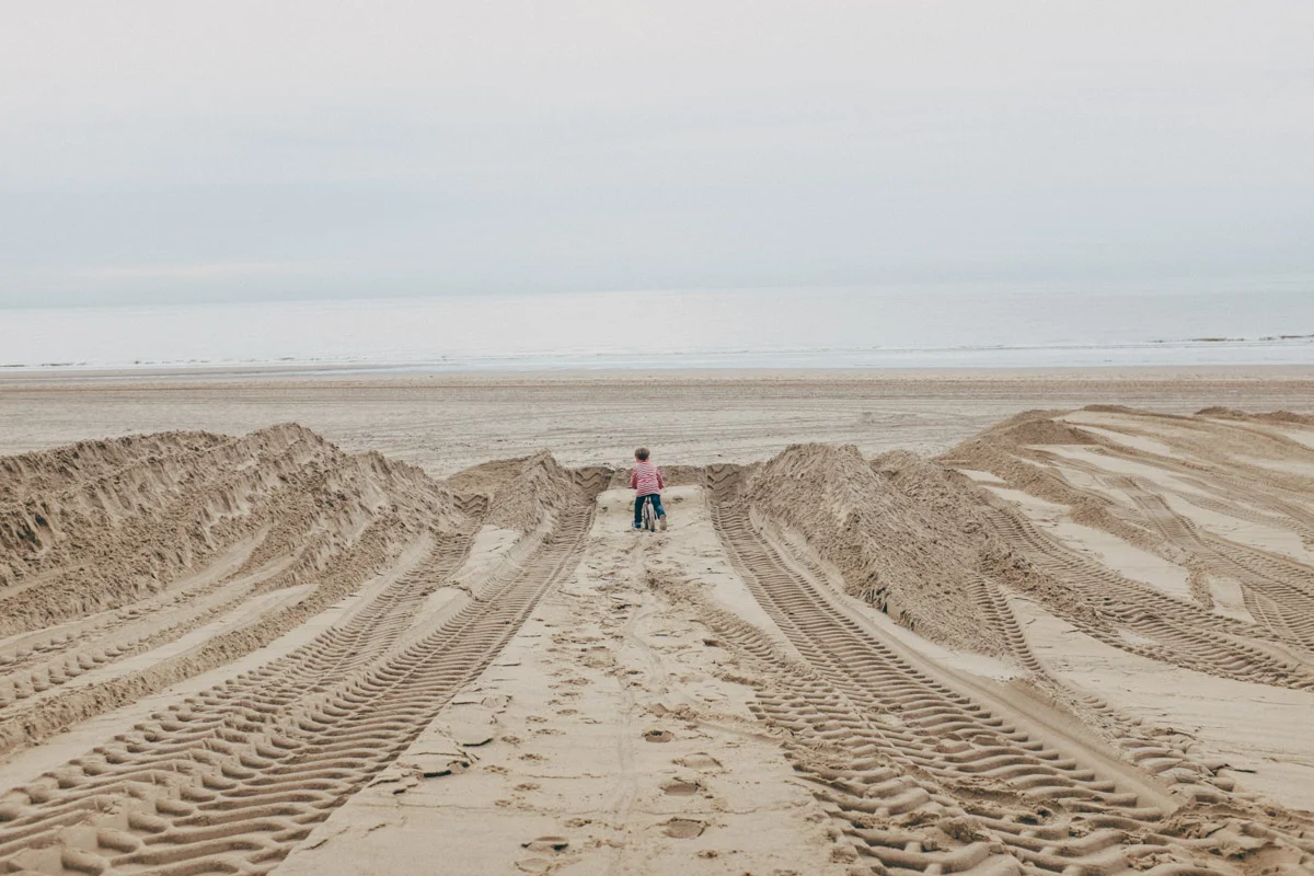 holland2017-6642.jpg
