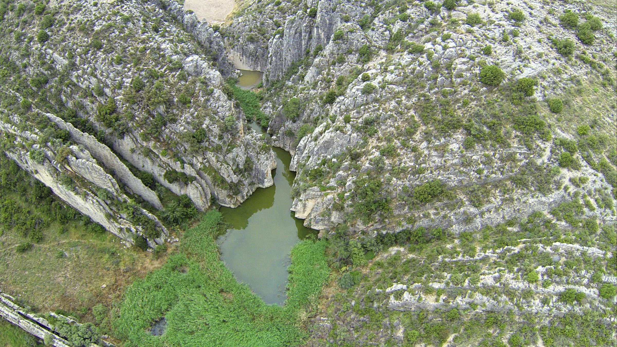 drone 014.jpg