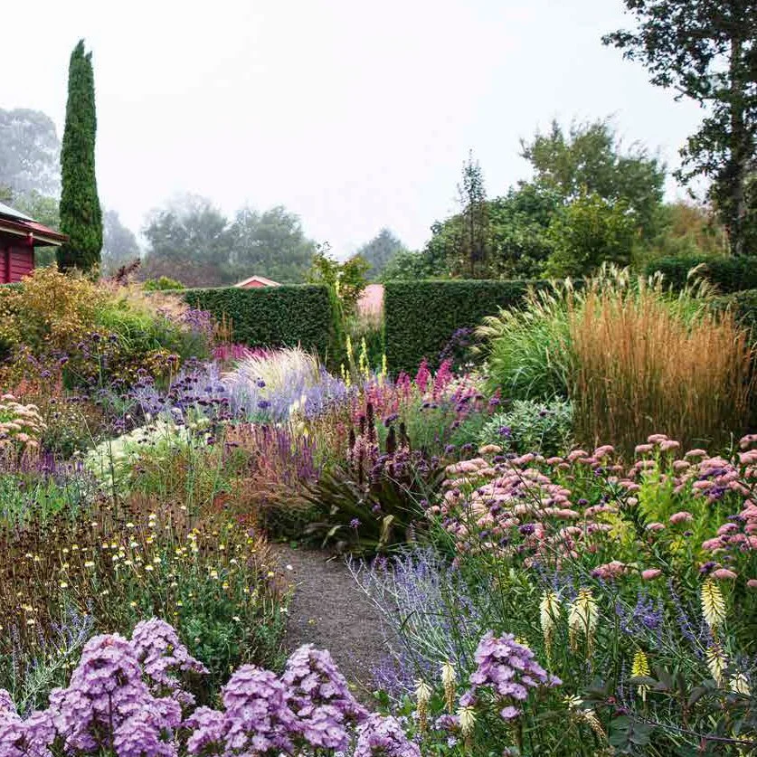 Simon Rickard Garden, Gardens Illustrated