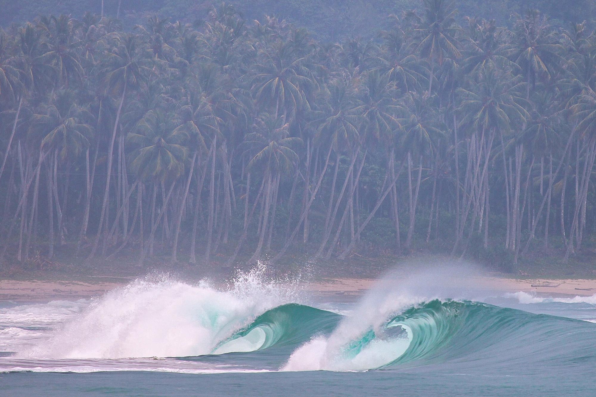 Protected bays are scattered around the island to take advantage of different conditions.
