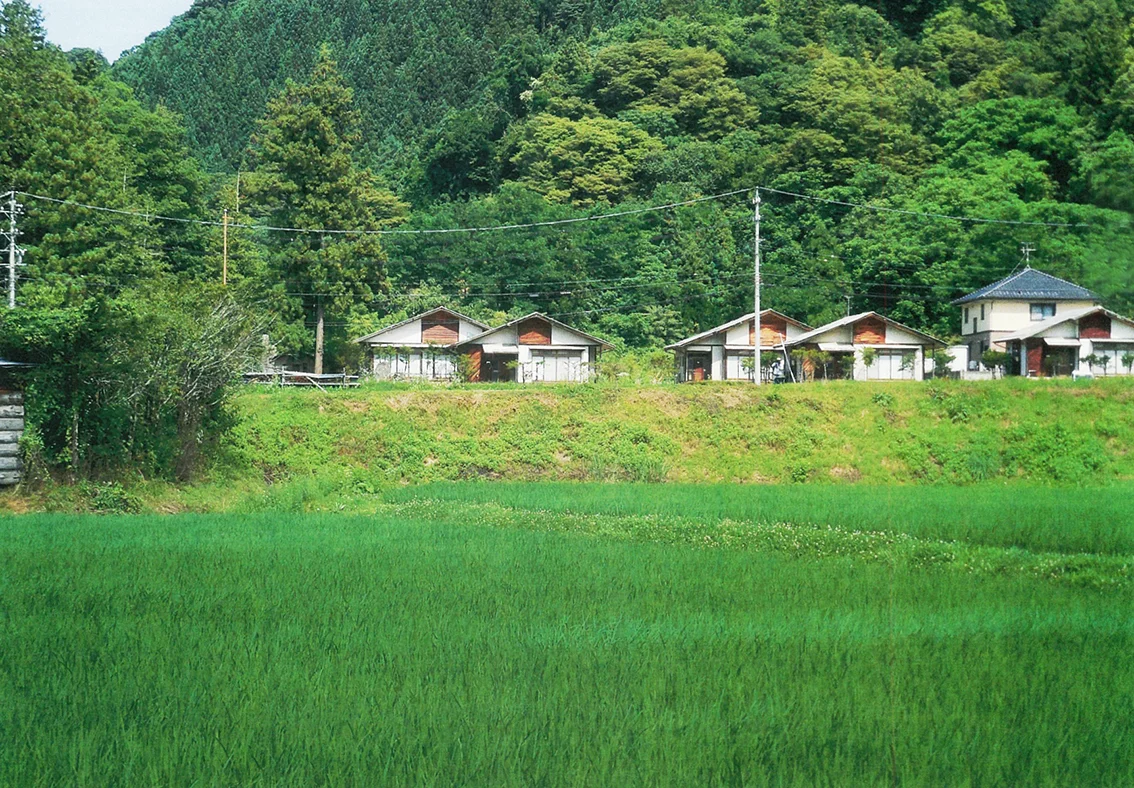 Hello Sandwich AIR House