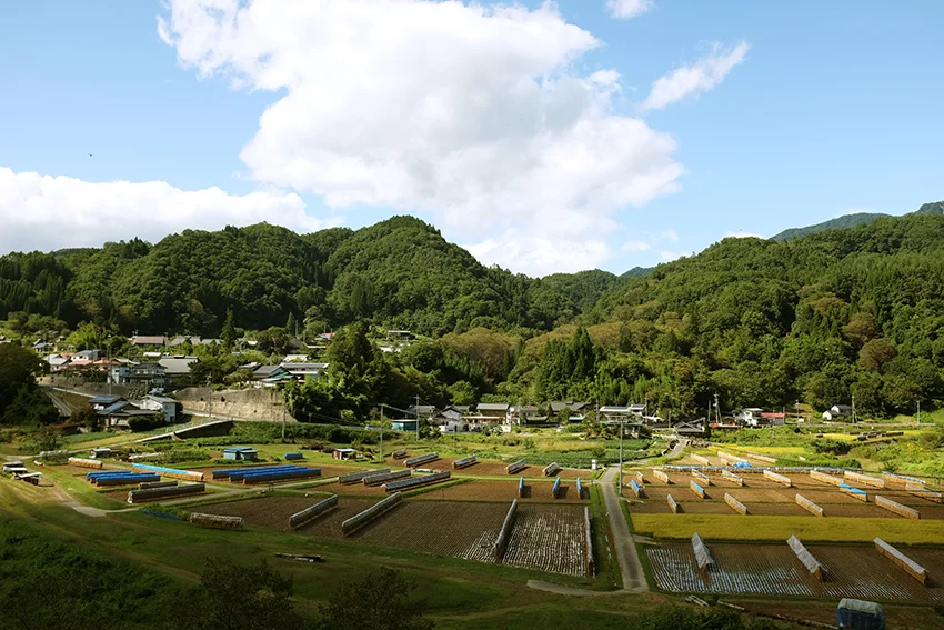 Walk to Combini view