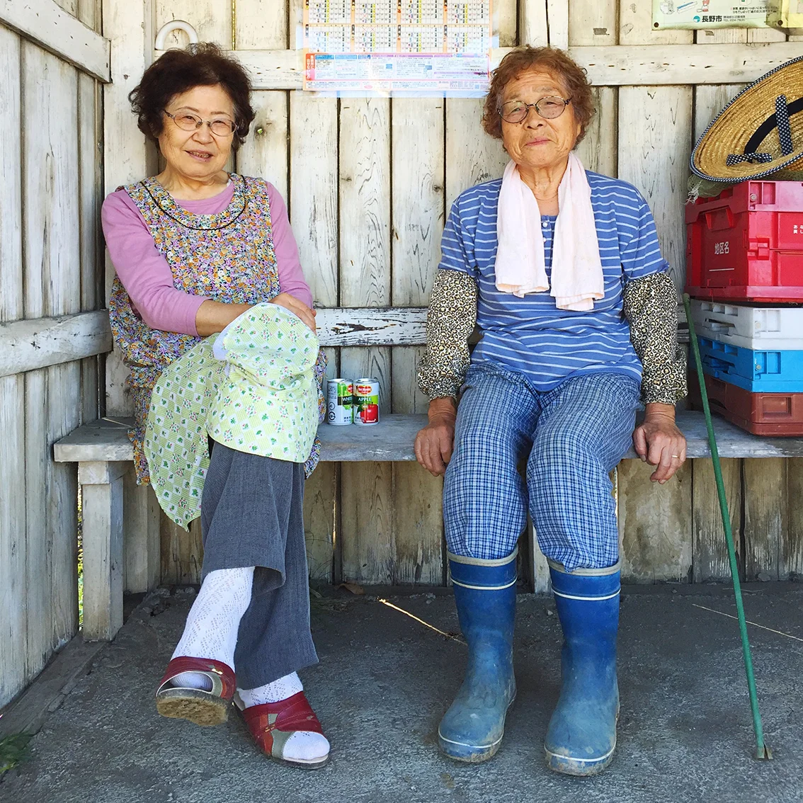 Hello Sandwich Bus Stop cuties