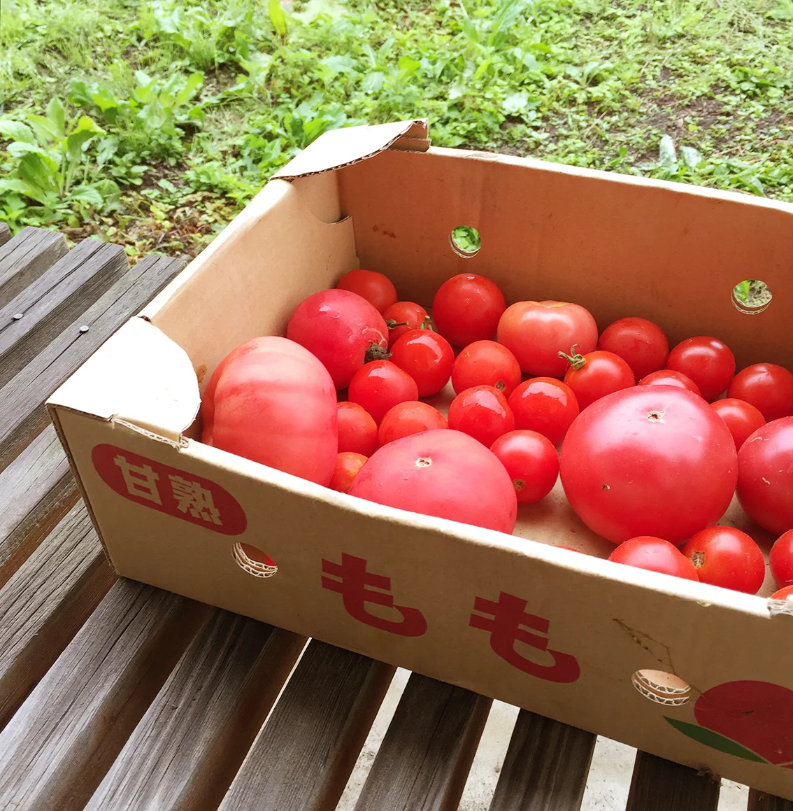 Local Tomatoes