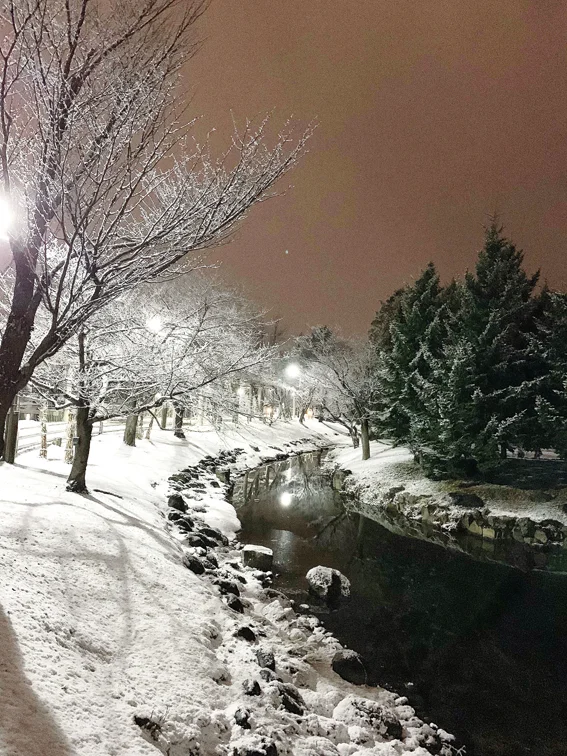 Nakajima Koen Hello Sandwich Sapporp