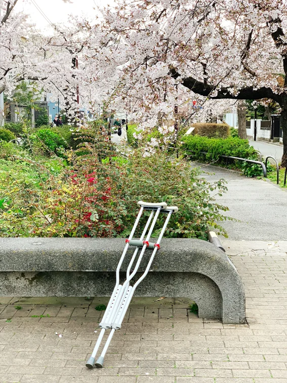 Crutches Hanami
