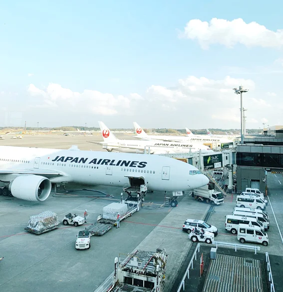 JAL Sakura Lounge