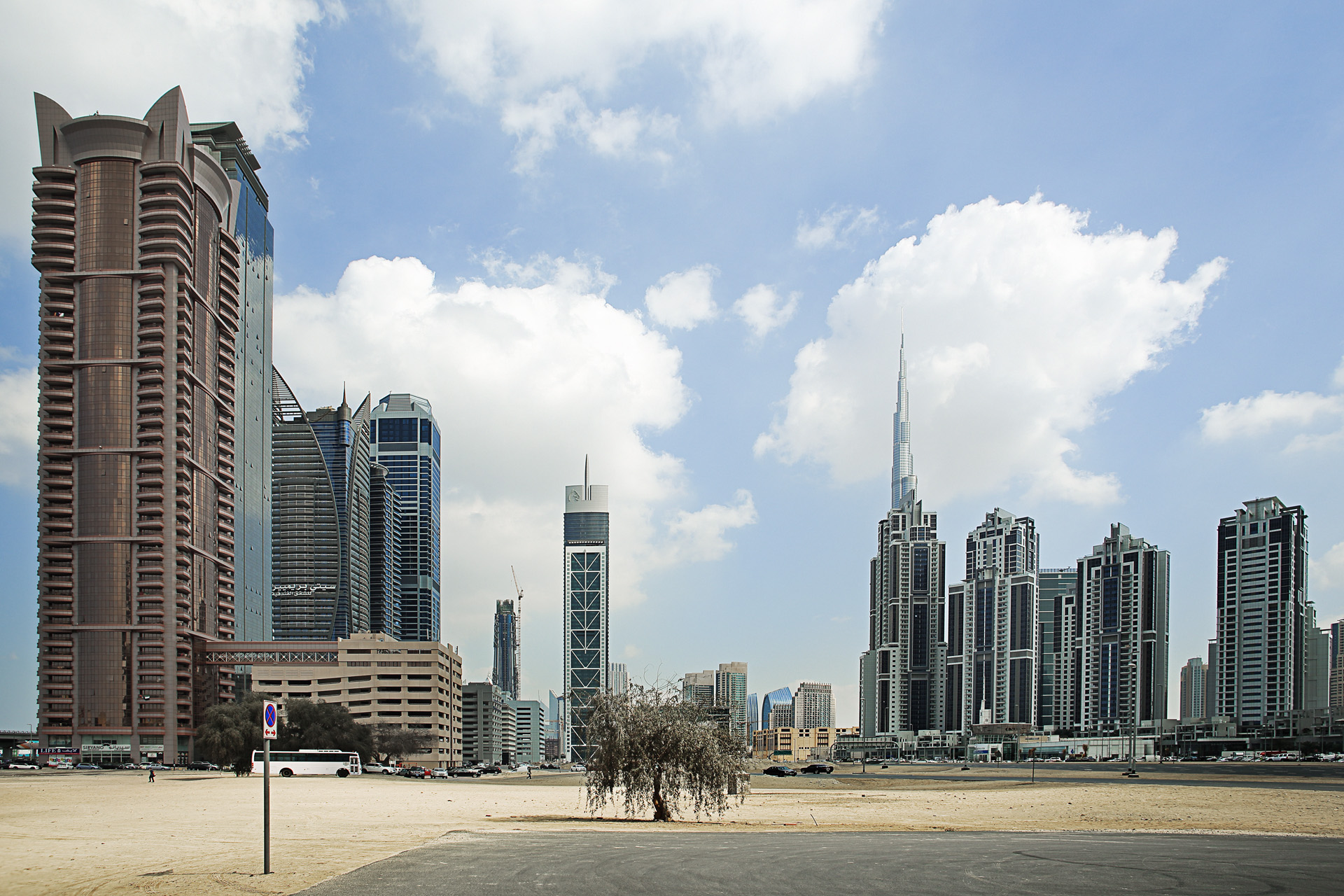  S�rie Trees du projet Beyond r�alis�e en f�vrier 2014 � Dubai 
