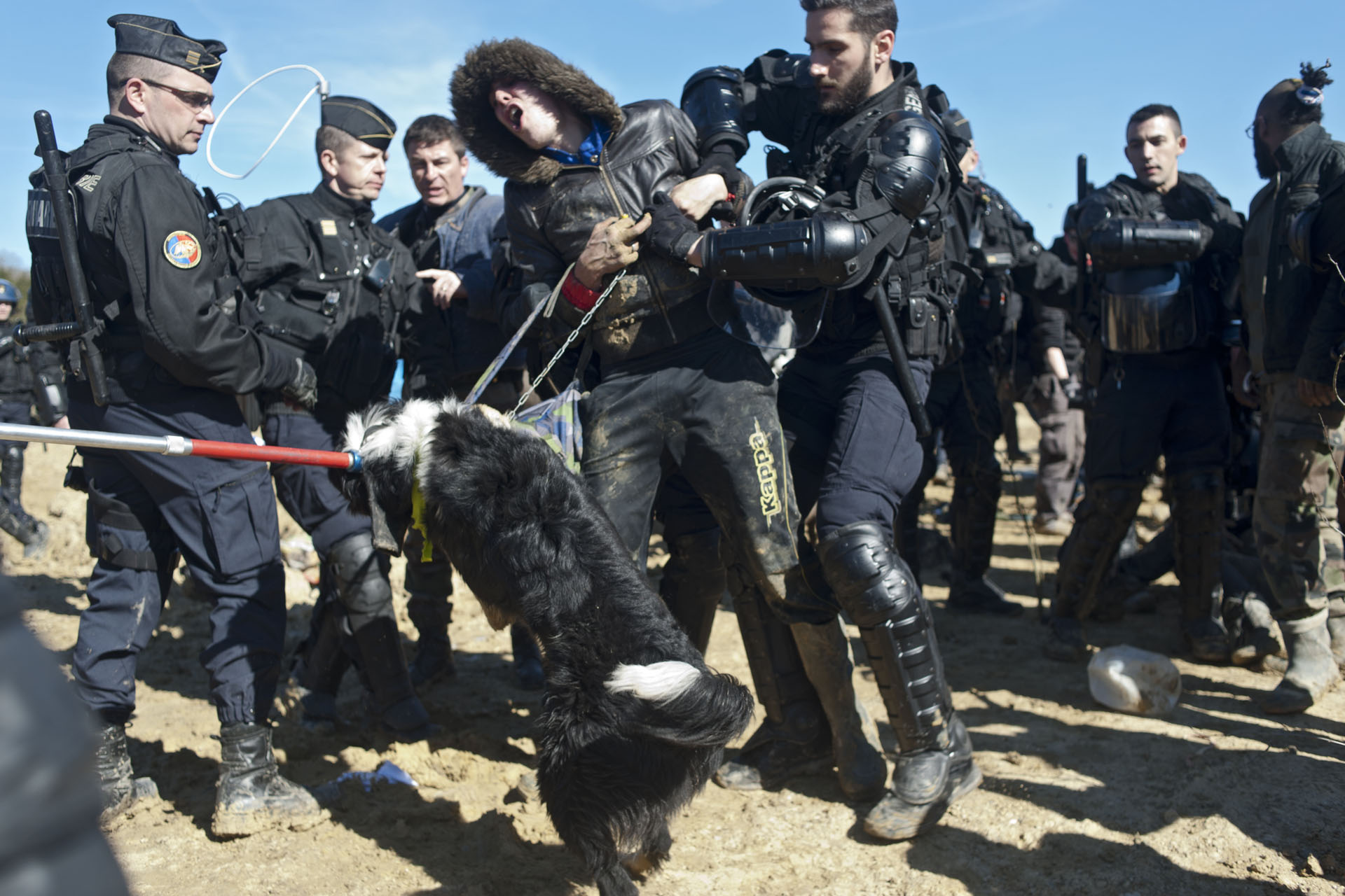  ZAD SIVENS
5 mars 2015, Expulsion du site par les forces de l'ordre. 