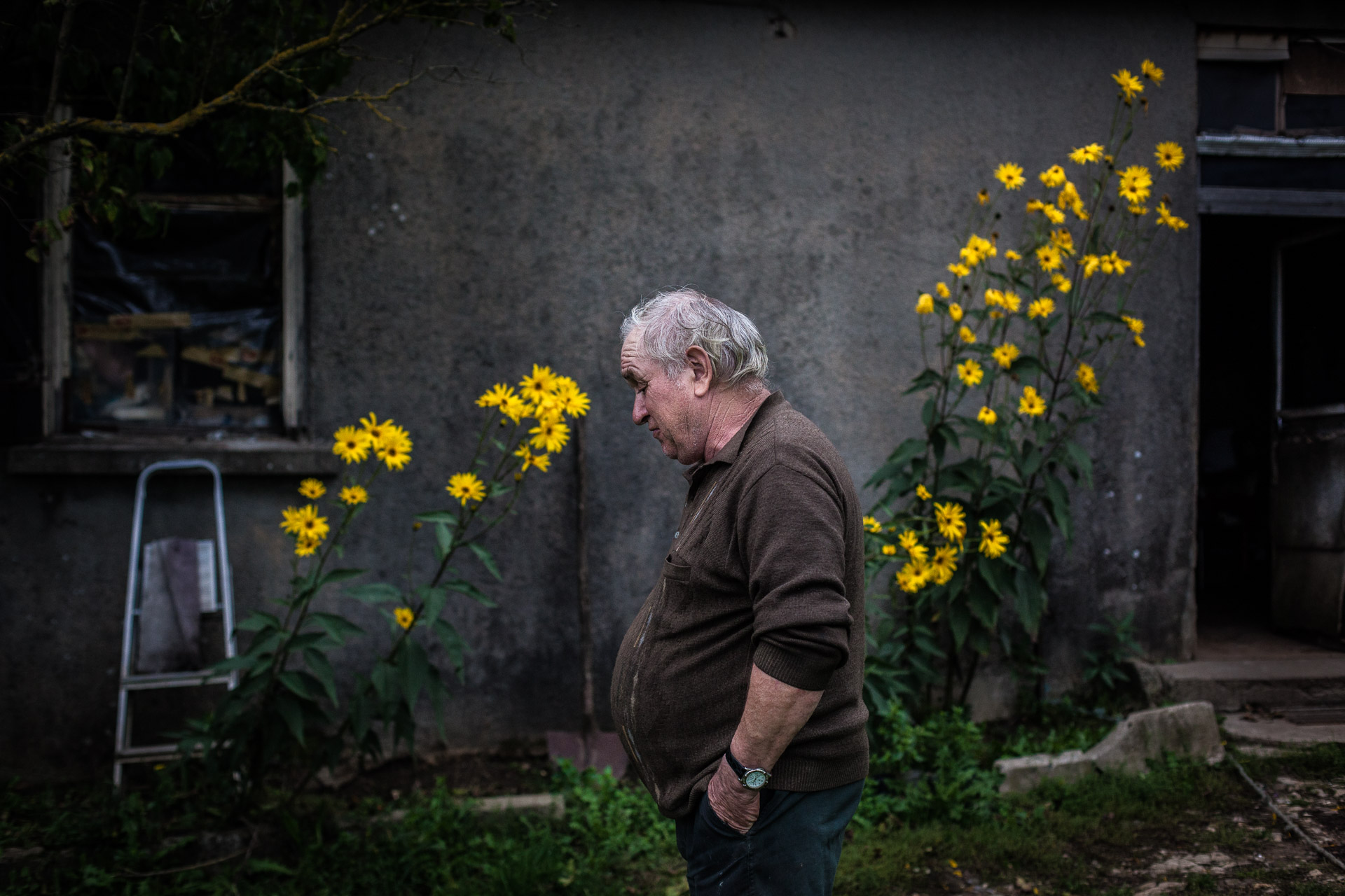  Villebeon, le 4 Octobre 2013. Un voisin dans le besoin, à qui Brann donne un coup de main de temps en temps.

Villebeon, 4 October 2013. A neighbor in need, whom Brann gives a hand from time to time. 