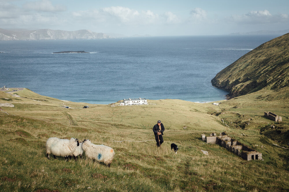  Achill Island, Irlande, le 18 Juin 2018. John Joseph " JJ " McNamara, ancien enseignant, propriétaire de la BnB, éleveur de moutons et d'huîtres. Il laisse ses moutons marqués dans la région, avant de les tondre. Il ne sait pas si Brexit pourrait av