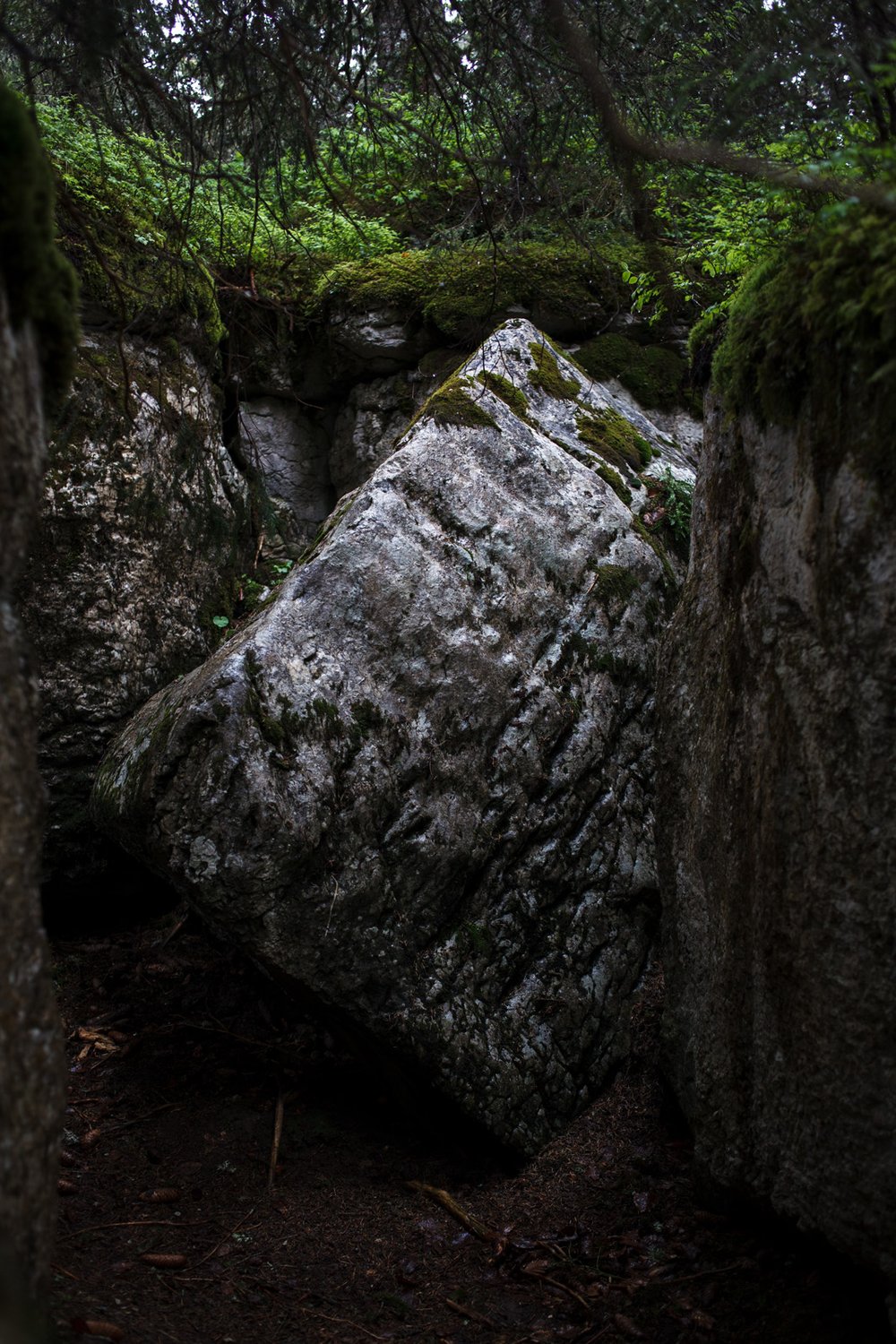 RANDO ÉCOLO DANS LE VERCORS / LIBÉRATION