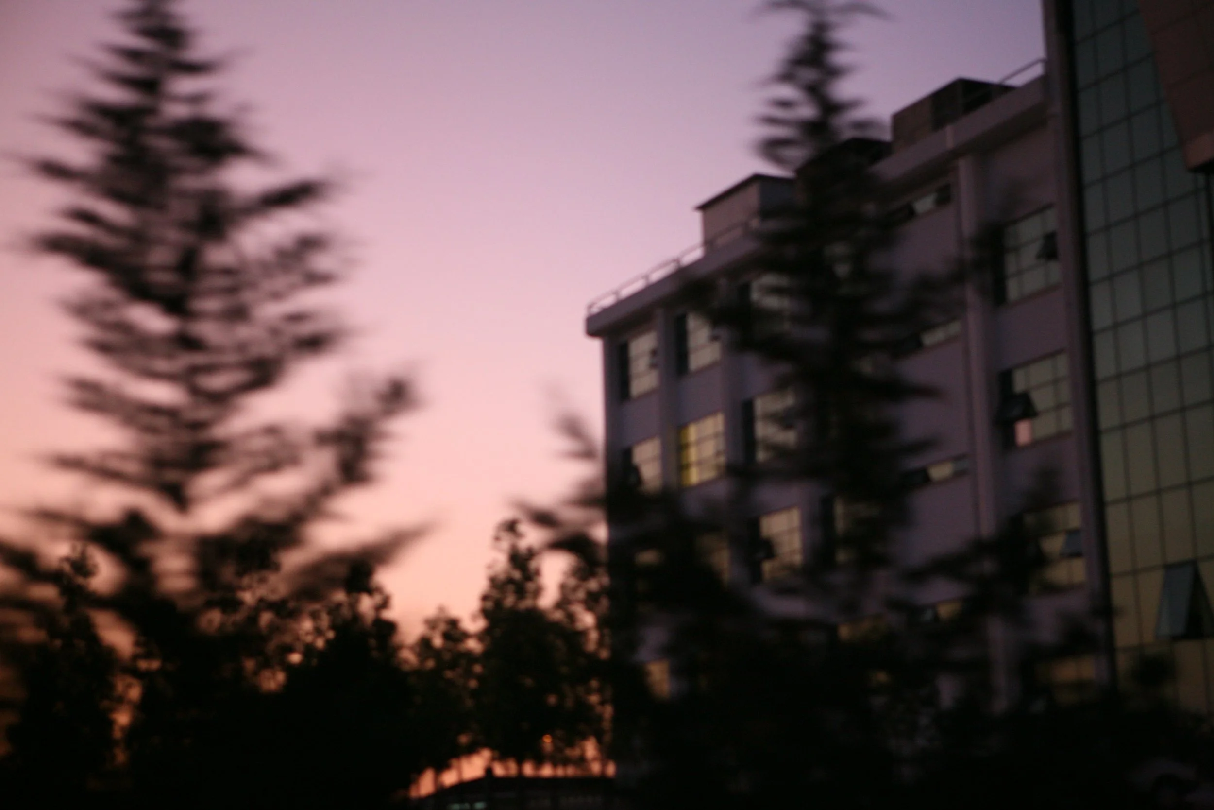 010_VAR2009017G1007-6821.jpg