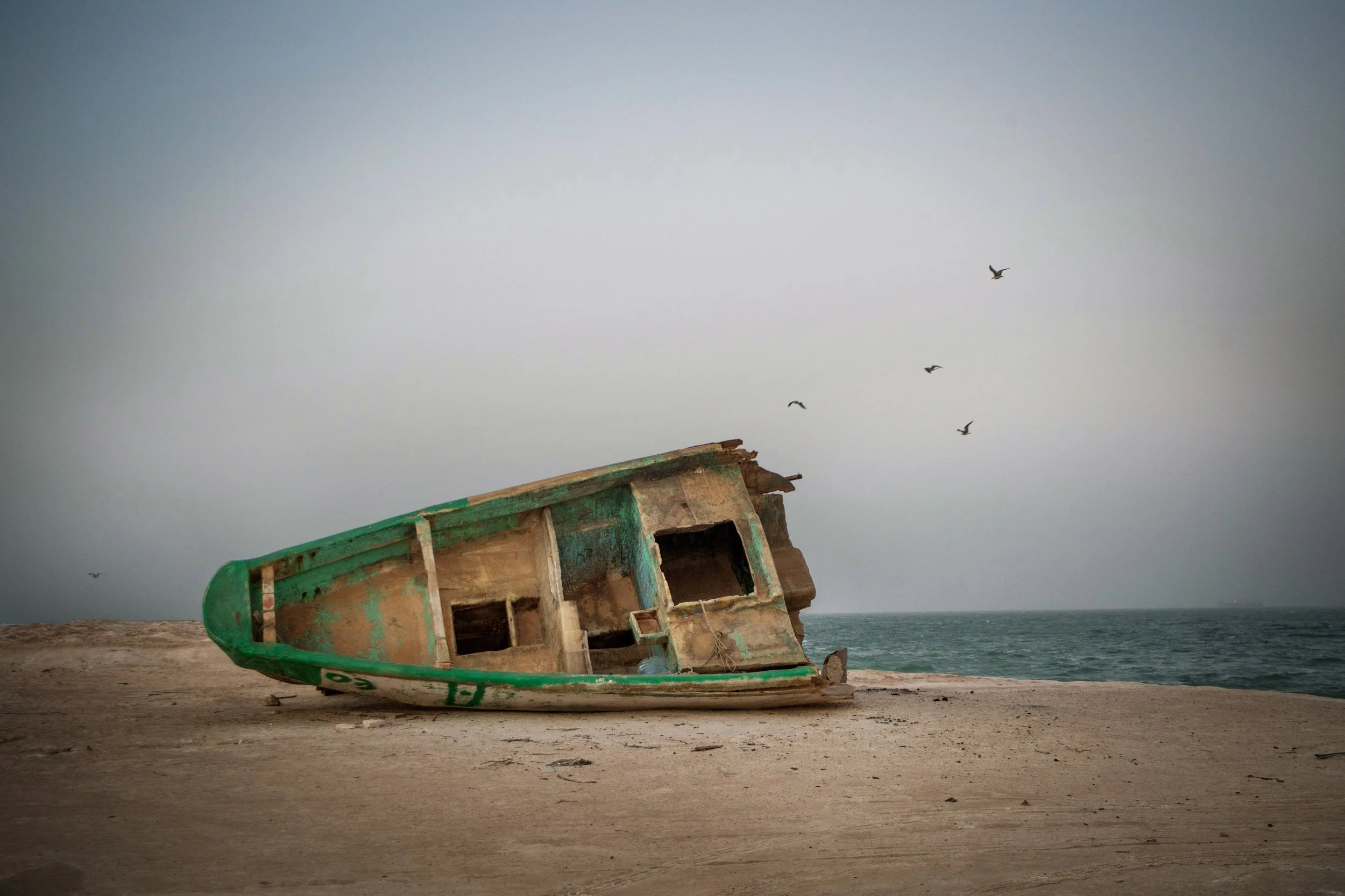 TERRE DES HOMMES / Nous habitons une planète errante *