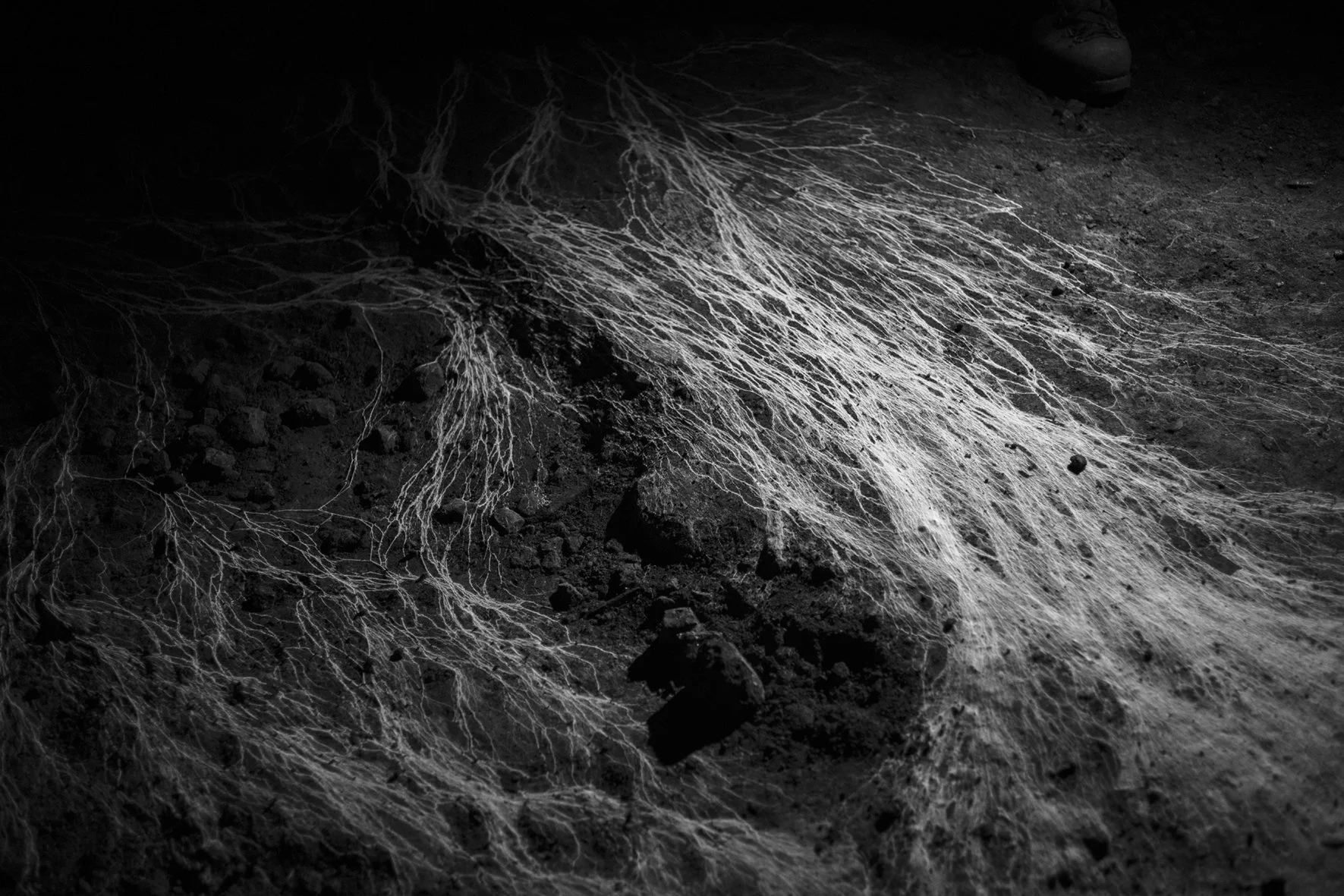 Nicolas Leblanc, Villerupt, Meurthe-et-Moselle.2021