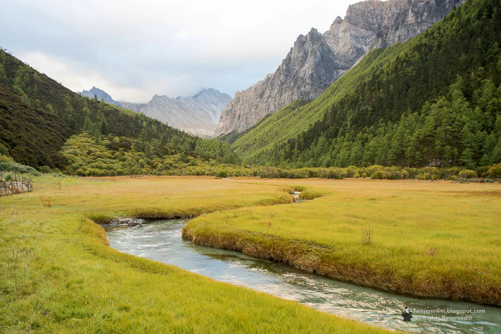 Chong Gu Meadow