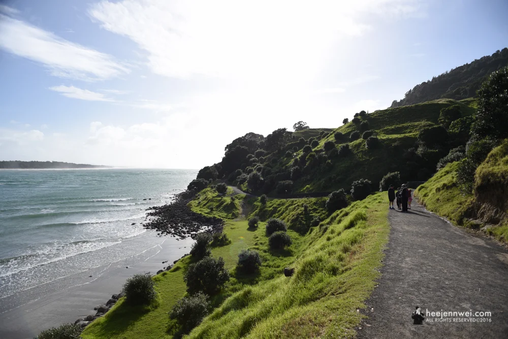 Trail around the sacred mountain Mauao (Mt. Maunganui) 
