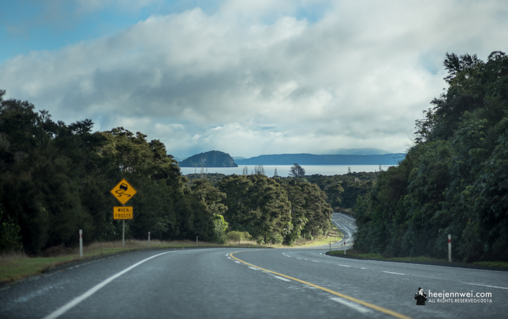 On the road from Lake Taupo towards Tongariro National Park. 