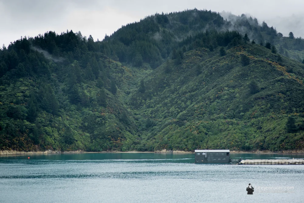 House on water at the South Island. 