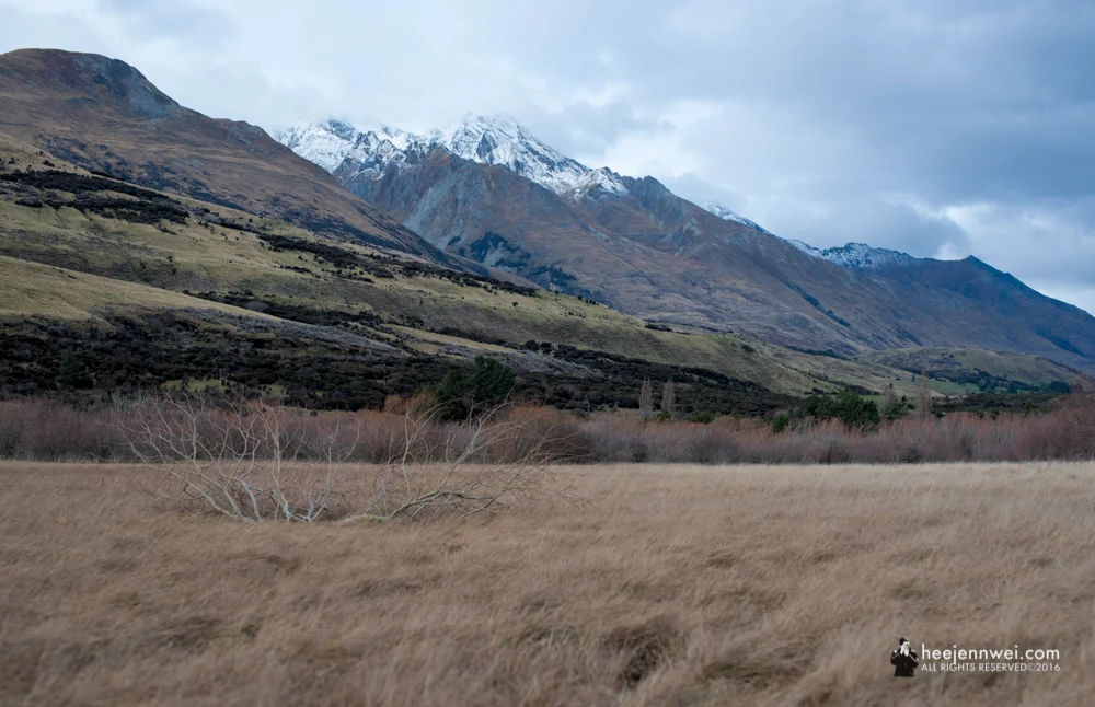 The Glenorchy Swamp trail, the rule of third. 