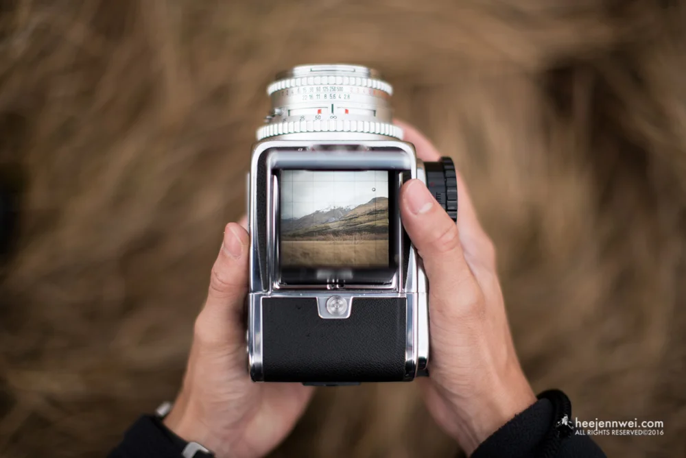 Photographing the Glenorchy Meadows on film with Hasselblad 500C. 