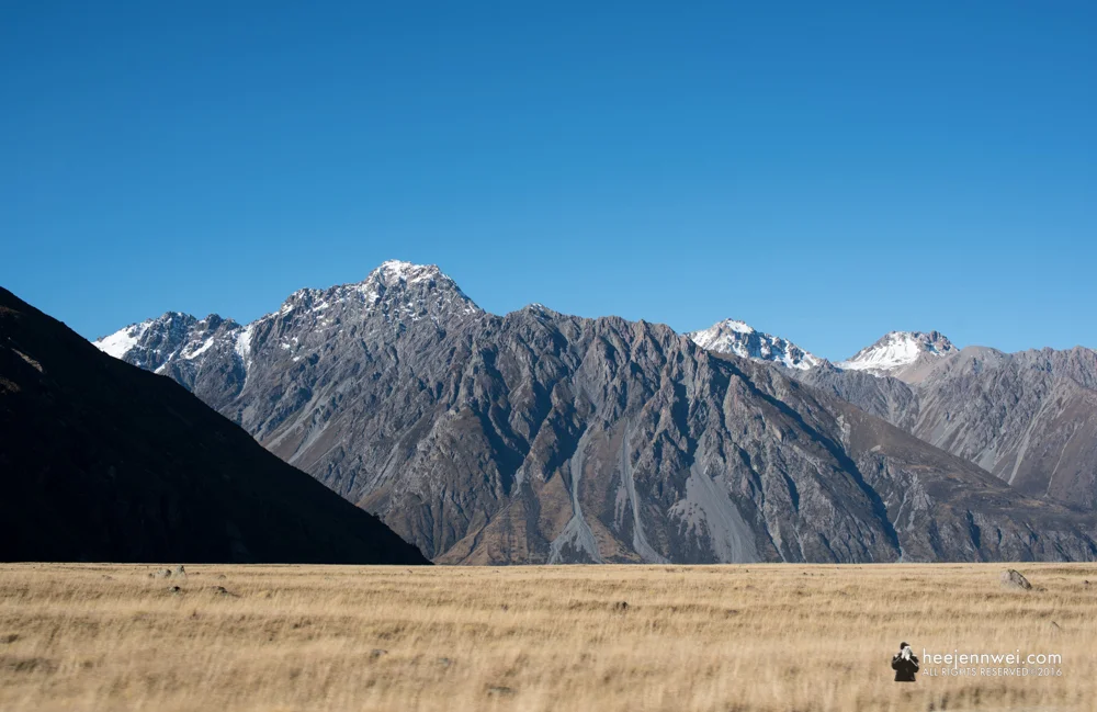 Hooker Valley meadow and glacier dusted mountain.