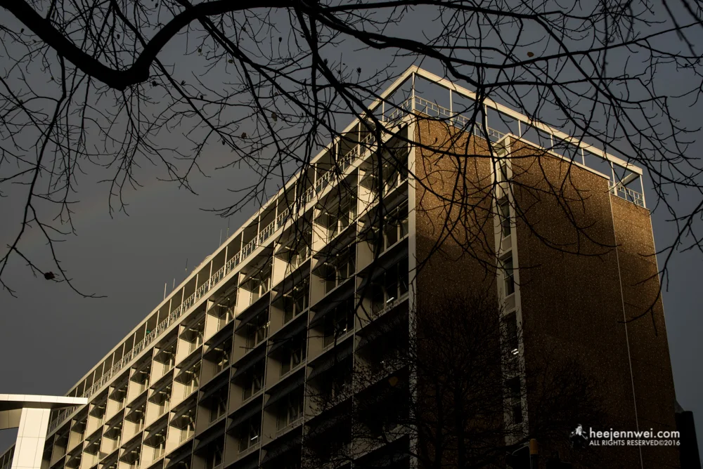 Office building across Attic Backpacker, silhouette from tree branches created a leading line towards the visual mass (office building) like a rhythm when the bass kicks in. The column of light lit-up only partial of the visual mass and simplified the chaotic foreground. 