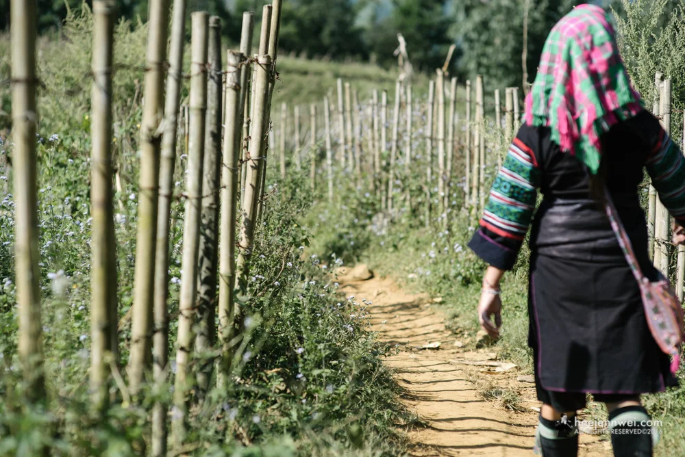 The Sapa trek begins...