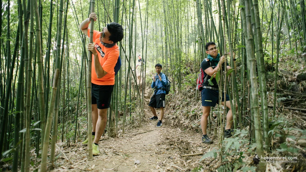 The bamboo forest entrance to Giang Ta Chai Village.