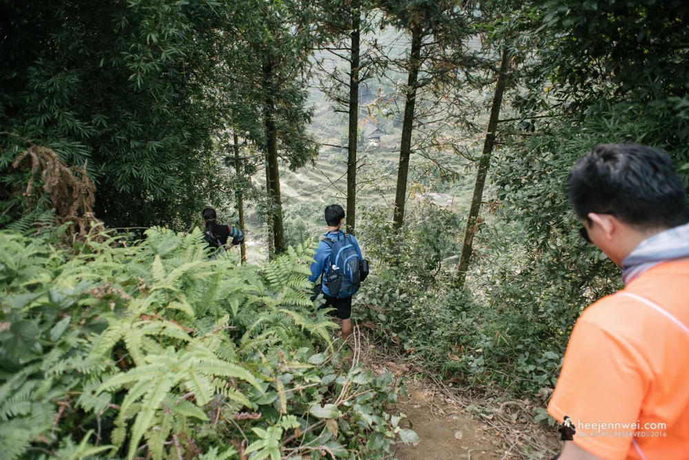Steep trek down to the valley.