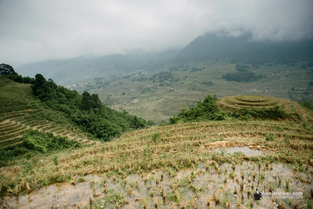 You'll get to witness the terraced paddy fields in different shade of colours all year round, we missed the harvest season by a week or two, but the views still breathtaking! Literally breathtaking after hours of hiking.