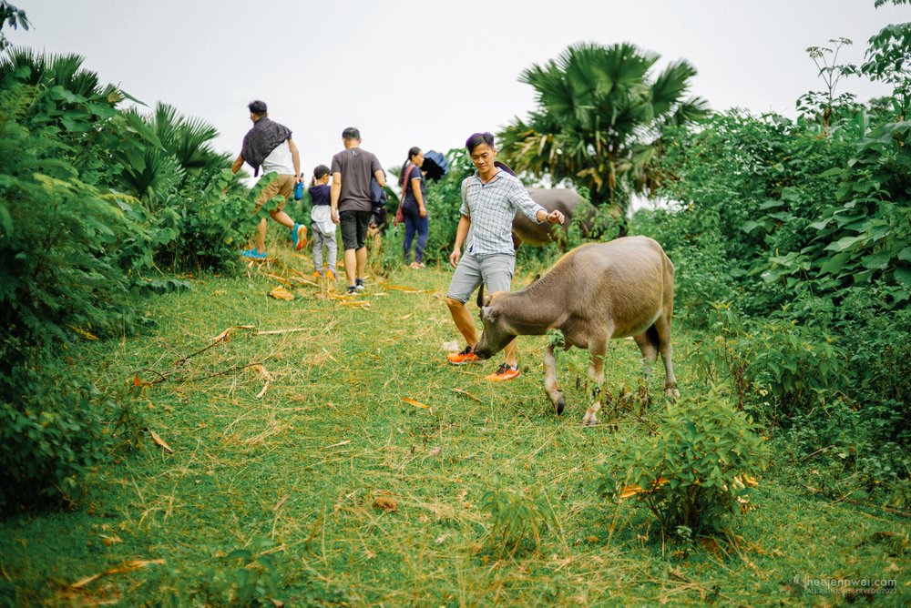 Ha Giang-3.JPG